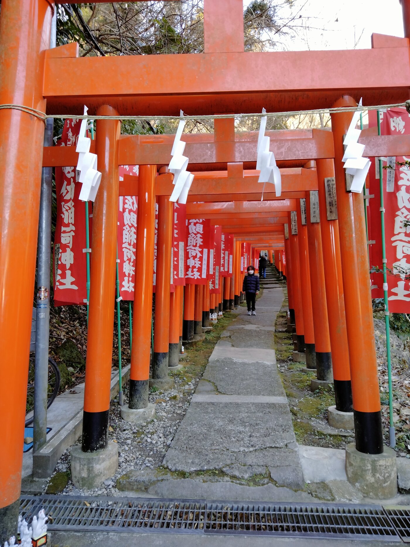 The orange torii gates of Sasuke Inari climbing into the forest with almost no one around