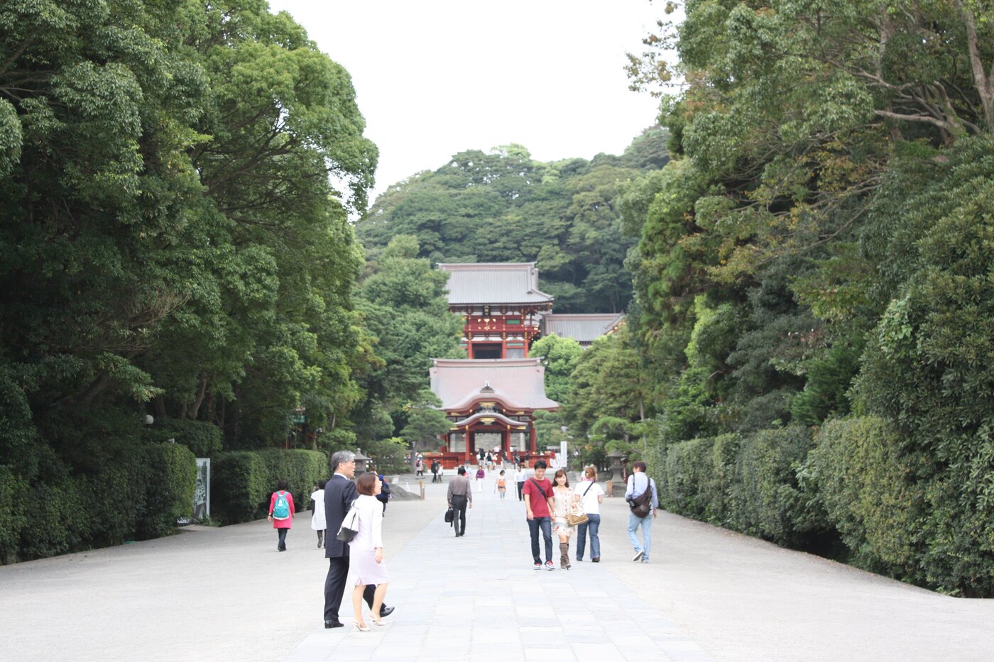 The tree-lined approach to Tsurugaoka Hachimangū, Kamakura's main shrine