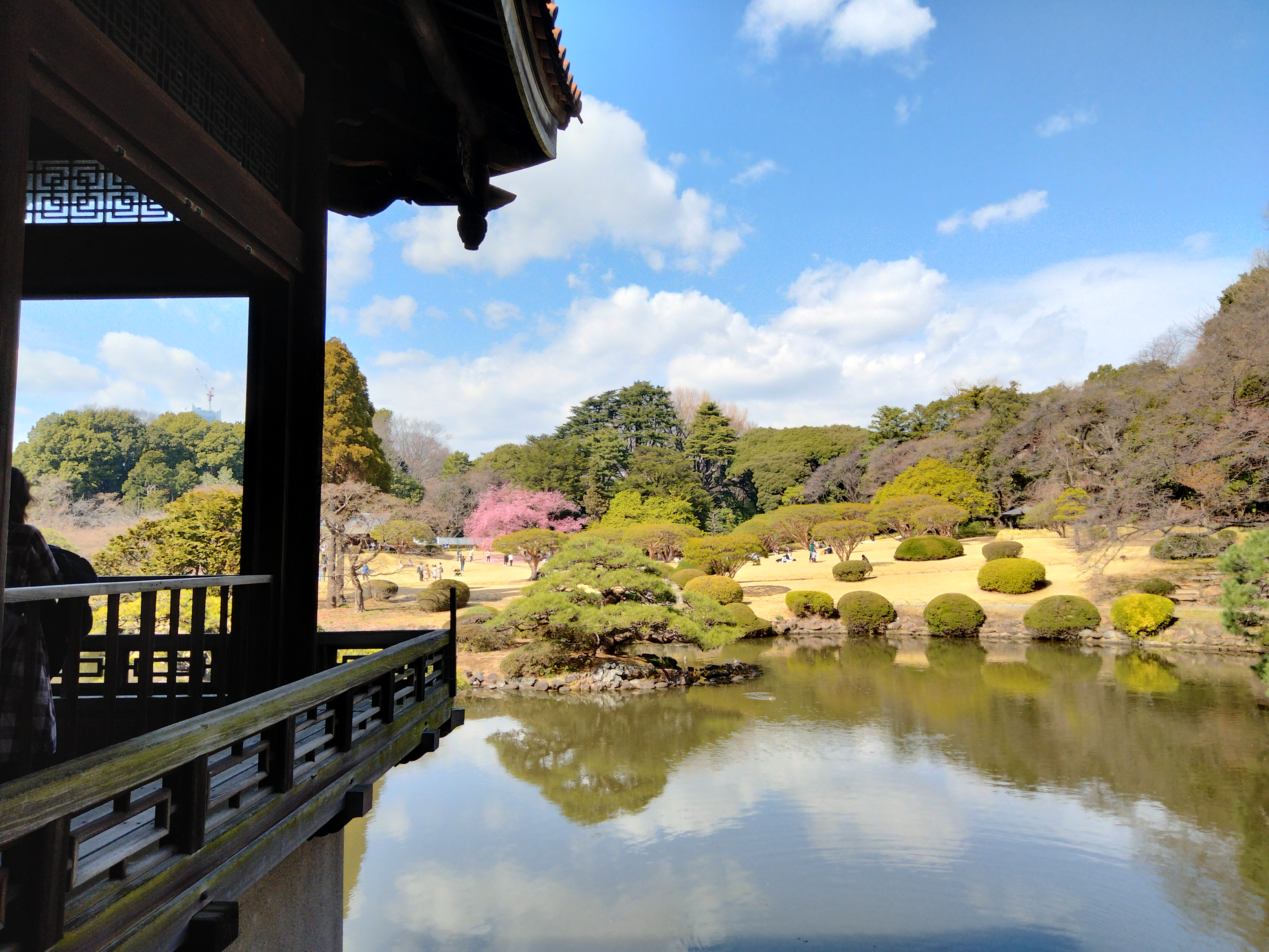 View from the tea pavilion over the Japanese garden pond, shaped pines reflected in the still water