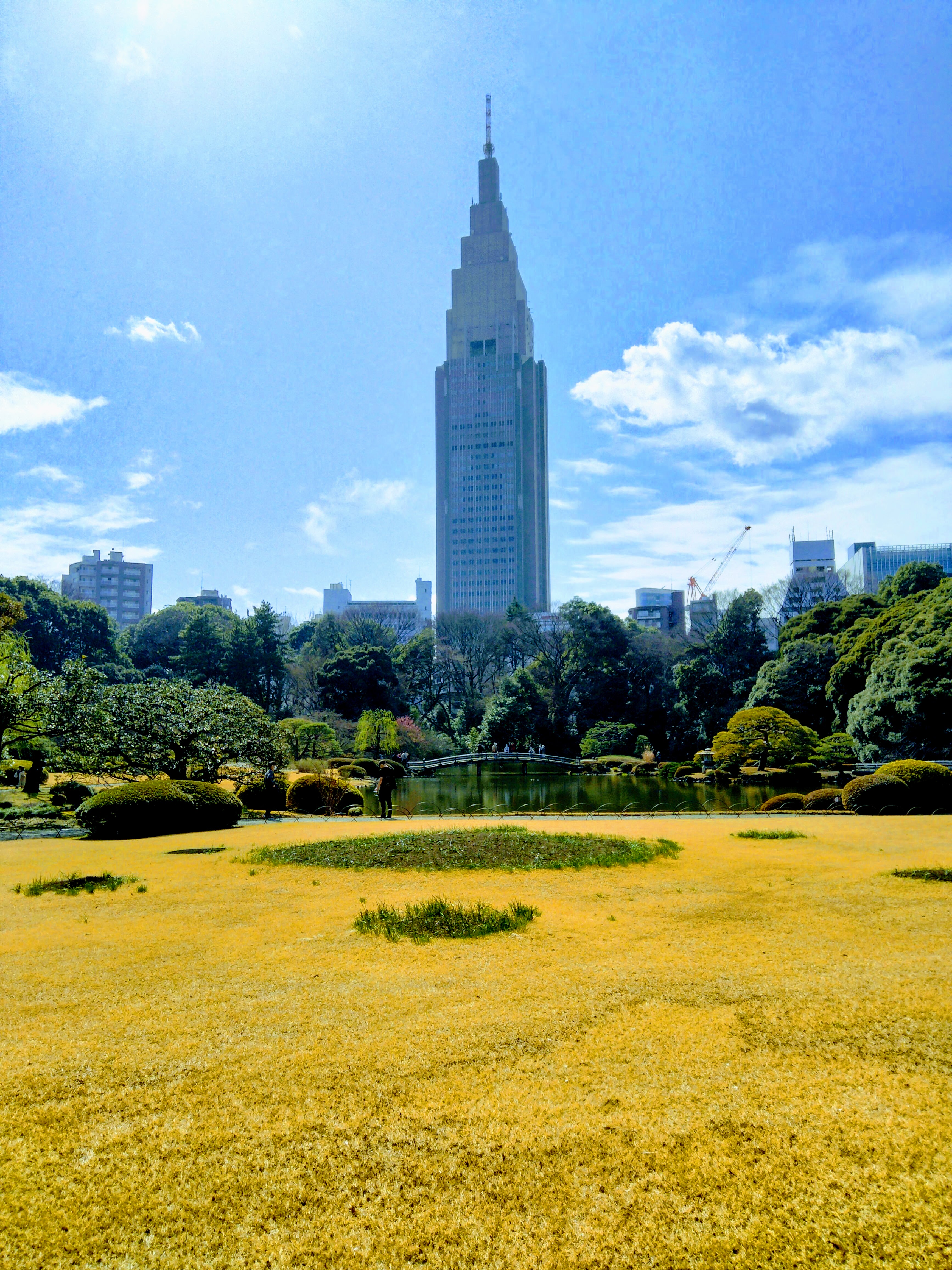 The English-style lawn at Shinjuku Gyoen with the NTT Docomo tower rising above the treeline — the park's most striking contrast